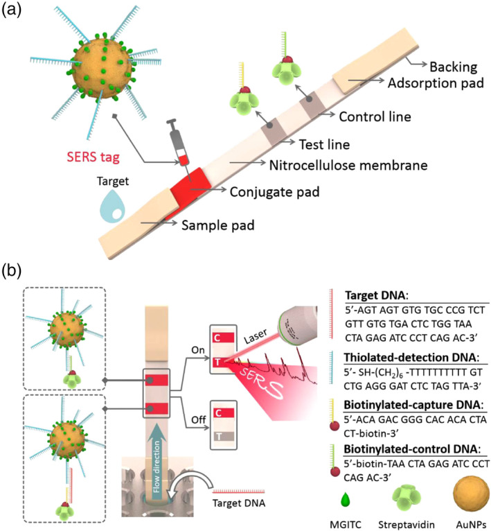 FIGURE 15