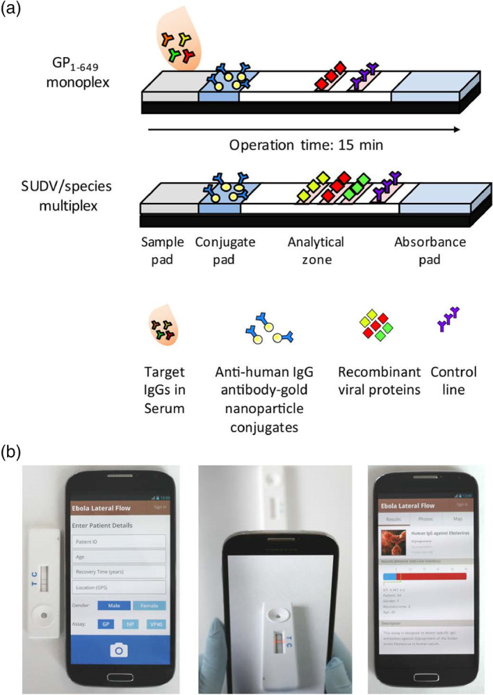 FIGURE 14