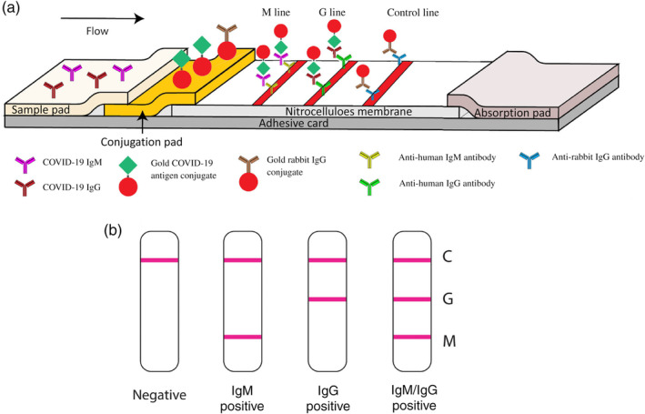 FIGURE 18