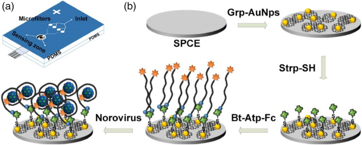 FIGURE 12