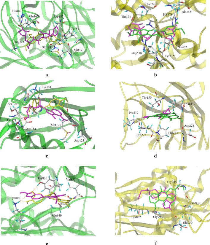 Fig. 8