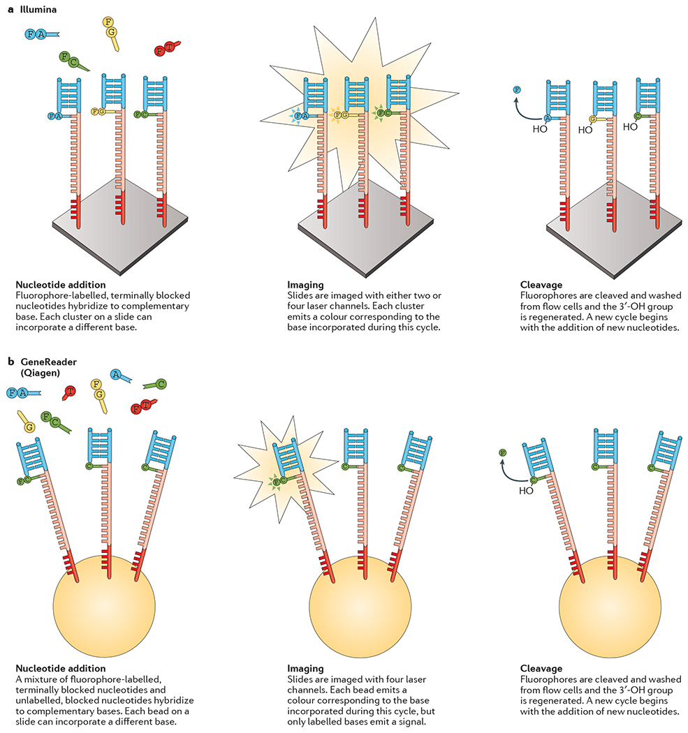 Figure 3 |