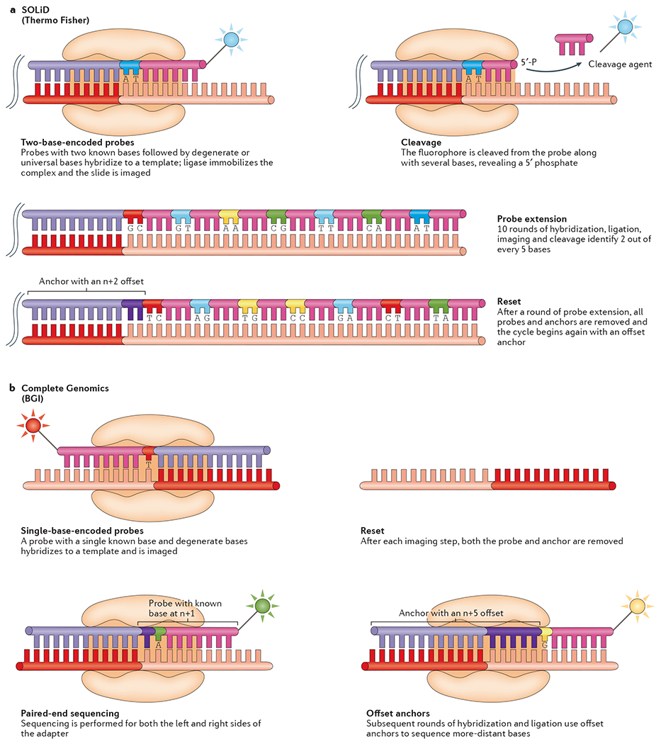 Figure 2 |