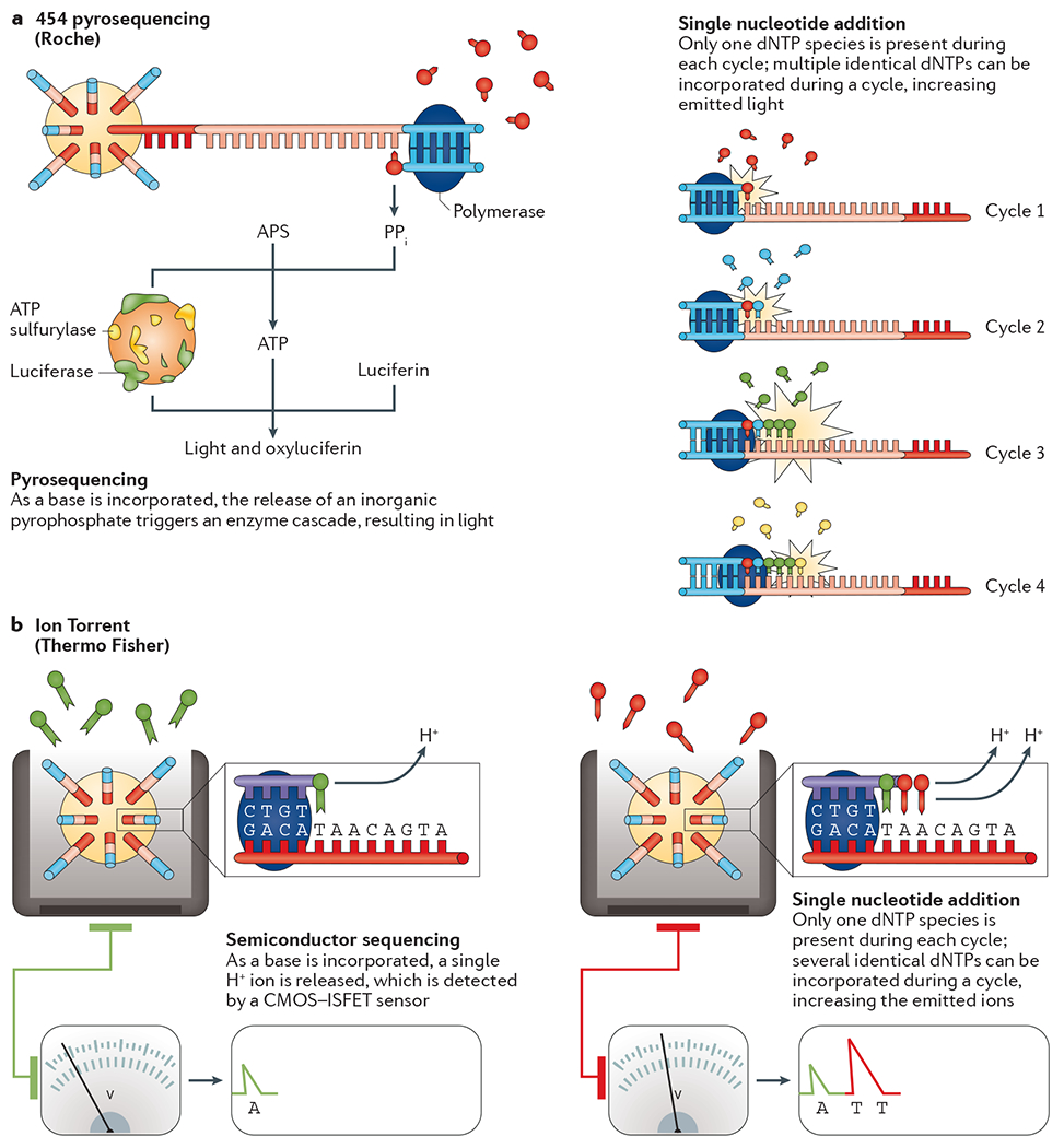 Figure 4 |