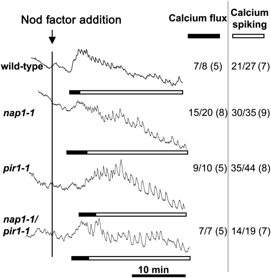 Figure 9.