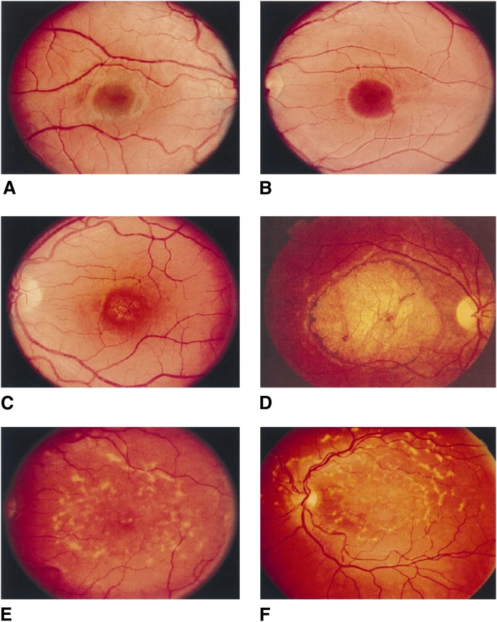 Fig. 3.