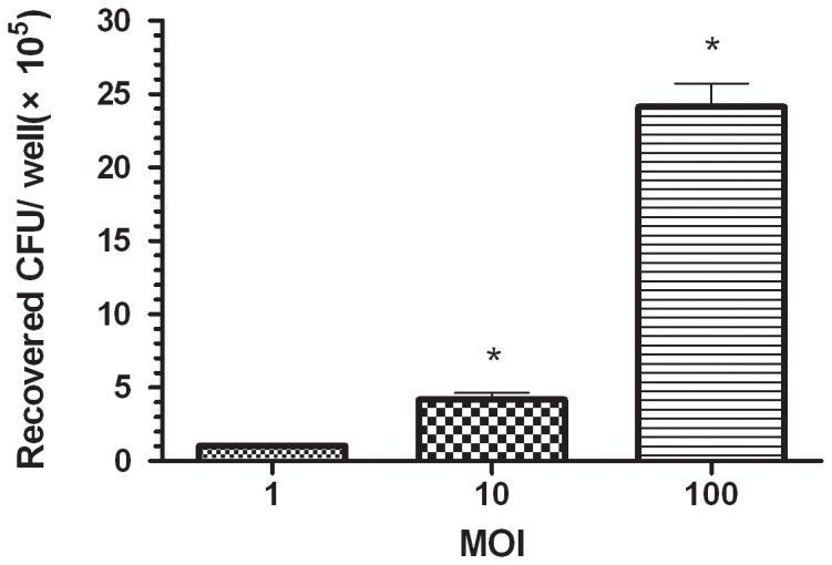 Figure 5