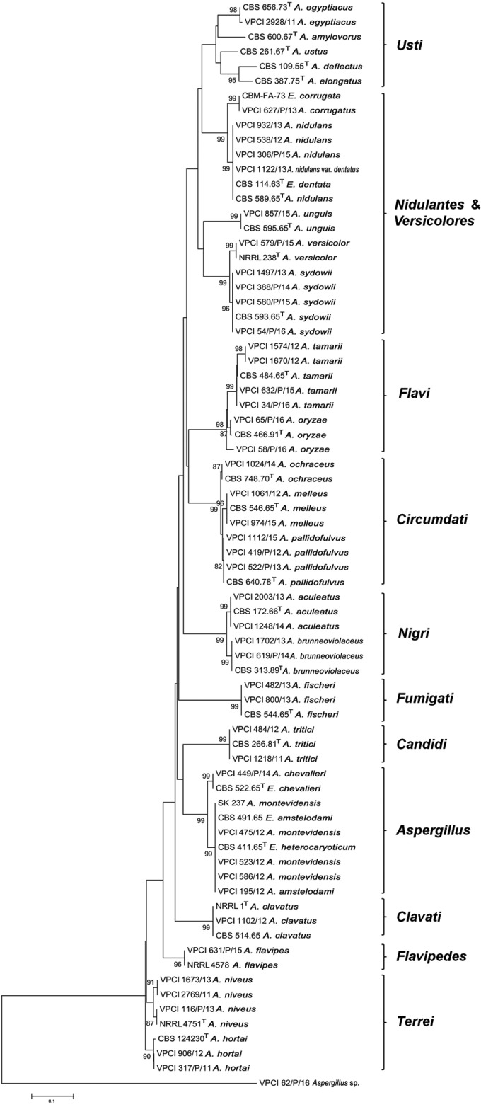 FIG 1