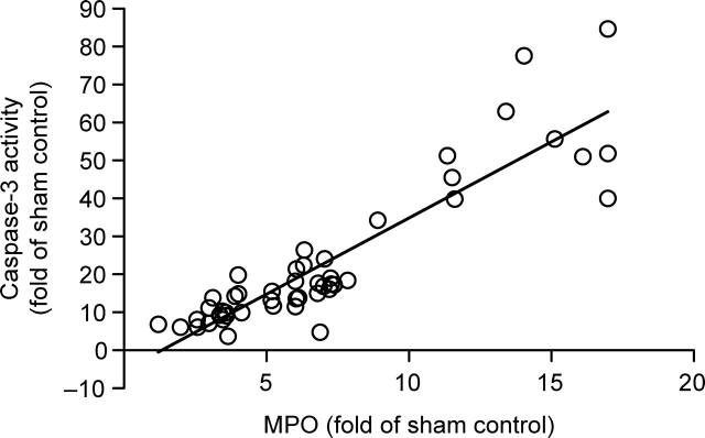 Figure 5