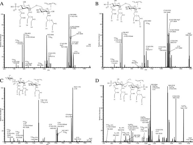 Fig. 5.