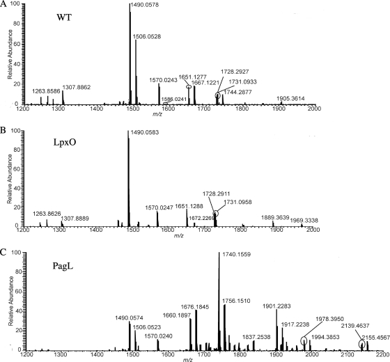 Fig. 3.