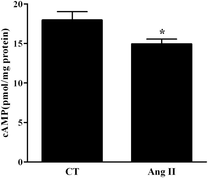 Fig 5