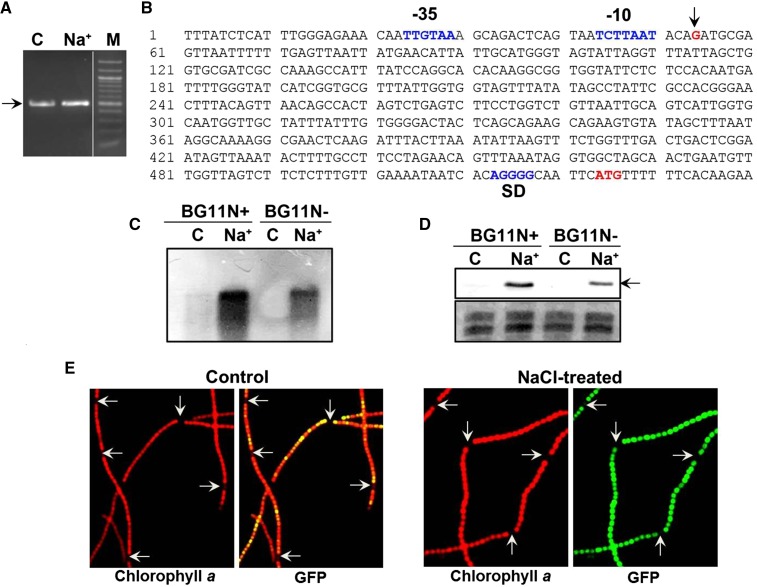 Figure 4.