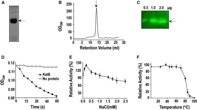 Figure 7.