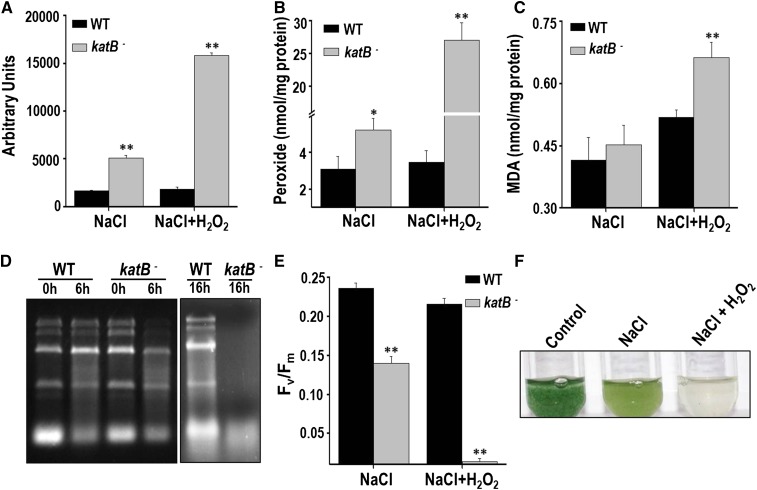 Figure 6.