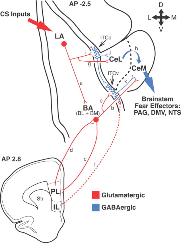 Figure 9.