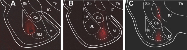 Figure 7.