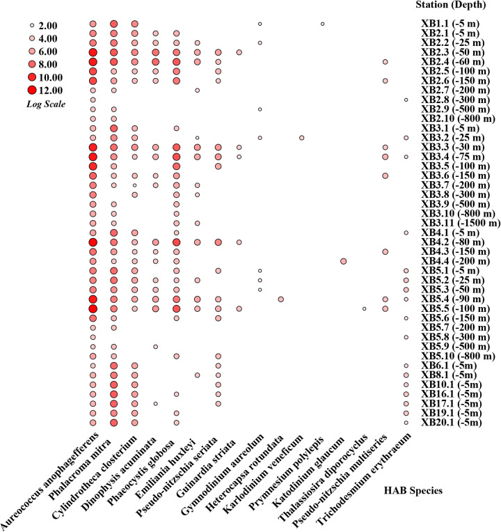 FIG 6