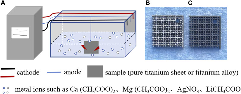 FIGURE 1