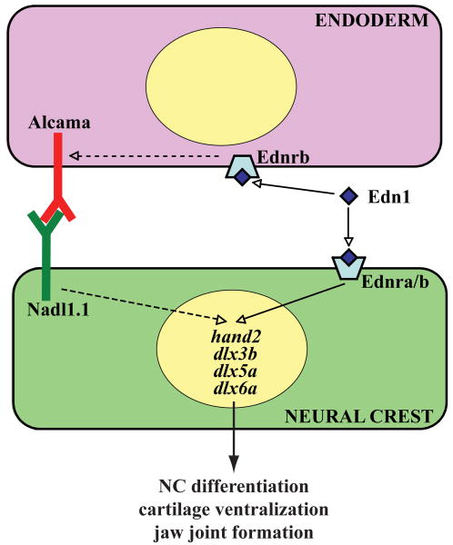 Fig. 8