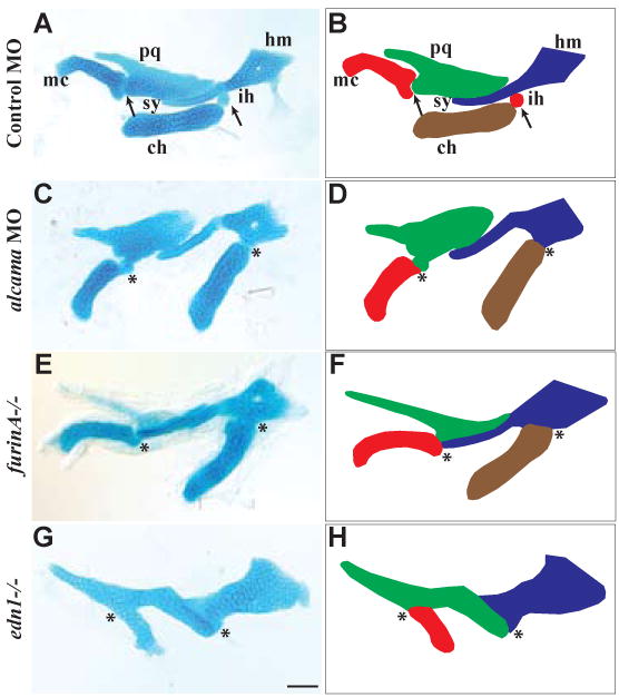 Fig. 2