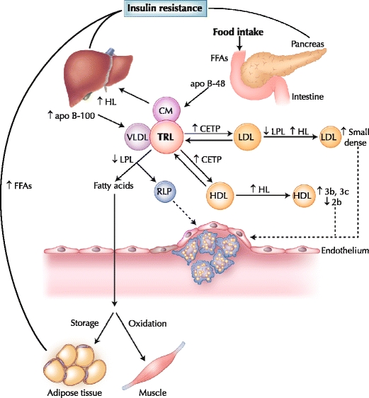 Fig. 1