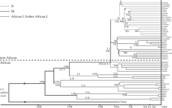 Figure 2.