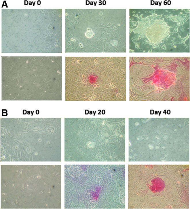 FIG. 3.