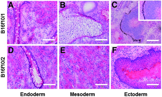 FIG. 6.