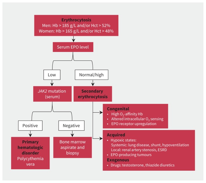 Figure 2: