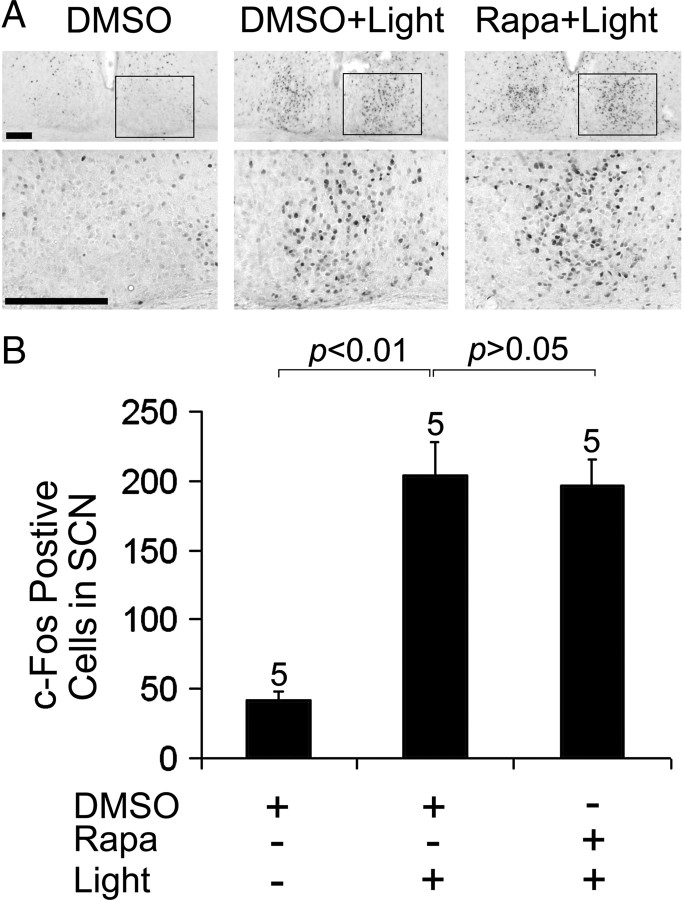 Figure 10.