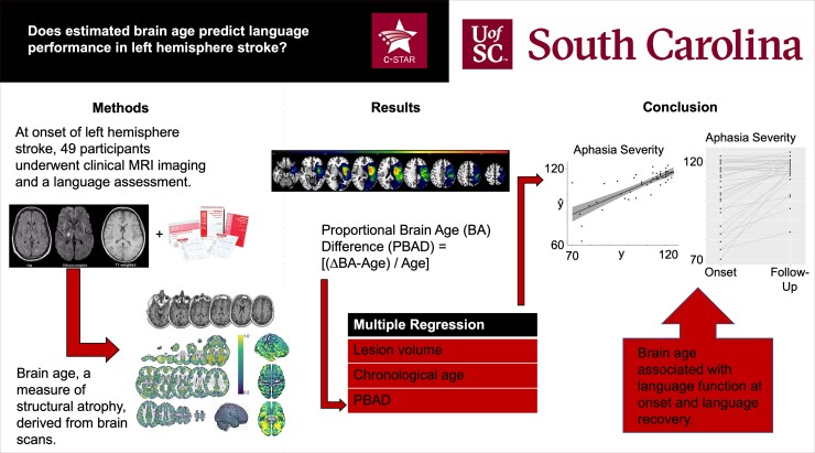 Graphical abstract