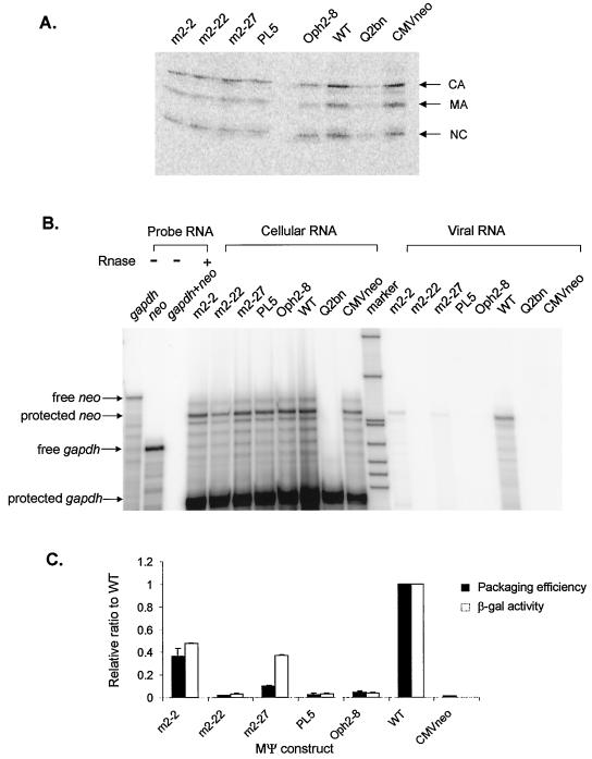 FIG. 3