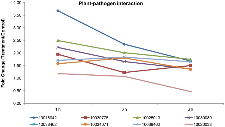 Figure 7