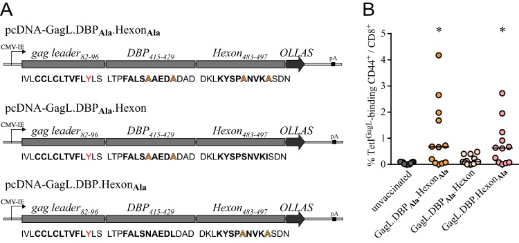 FIG 3