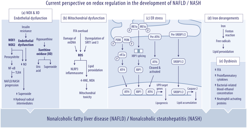 Figure 2: