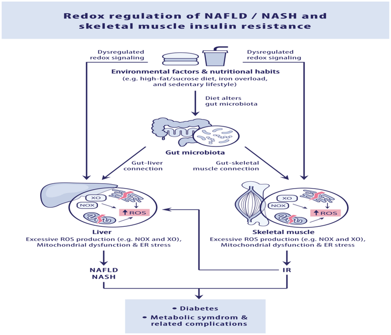 Figure 1: