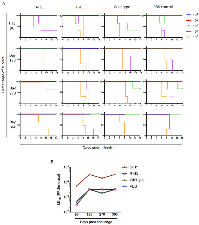 FIG 3