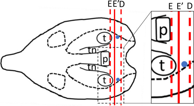 Fig. 4.