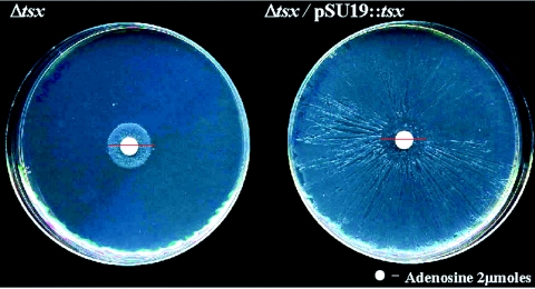 FIG. 4.