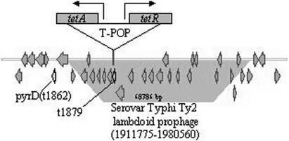 FIG. 7.