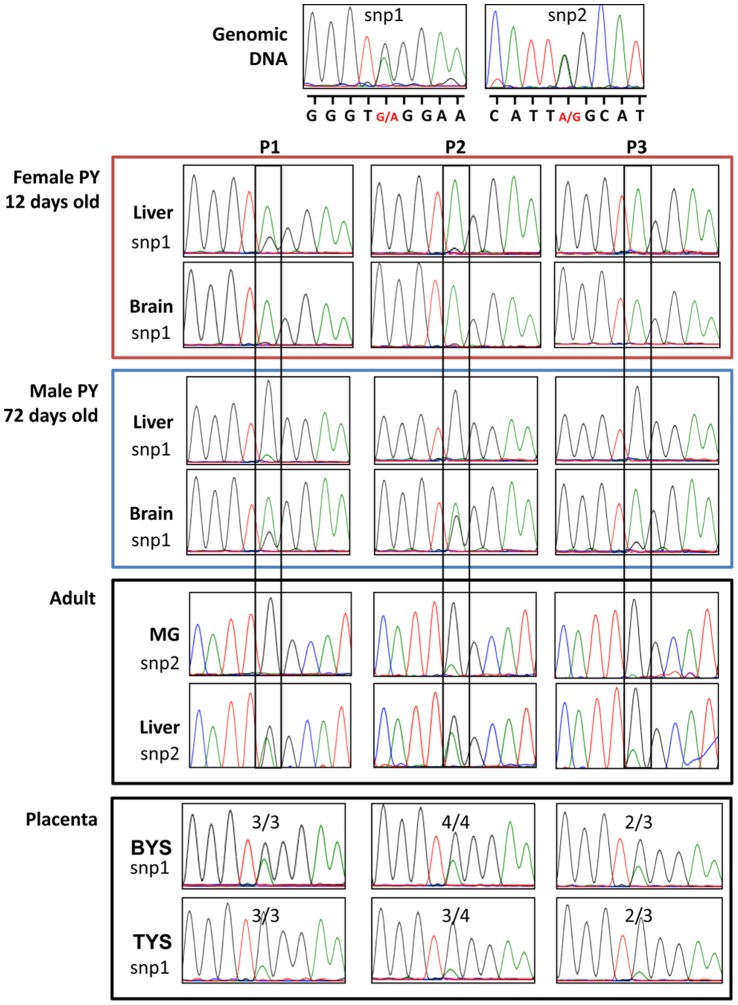 Figure 5