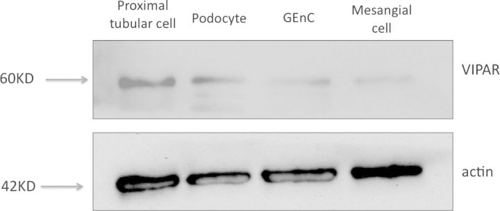 Fig. 2.