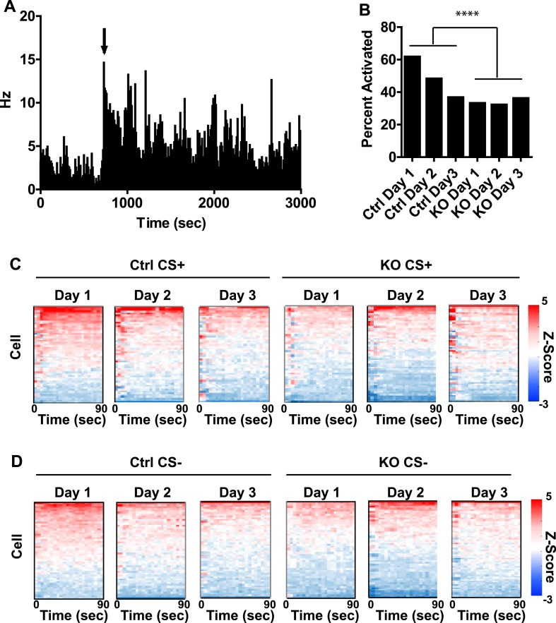 Figure 2—figure supplement 1.