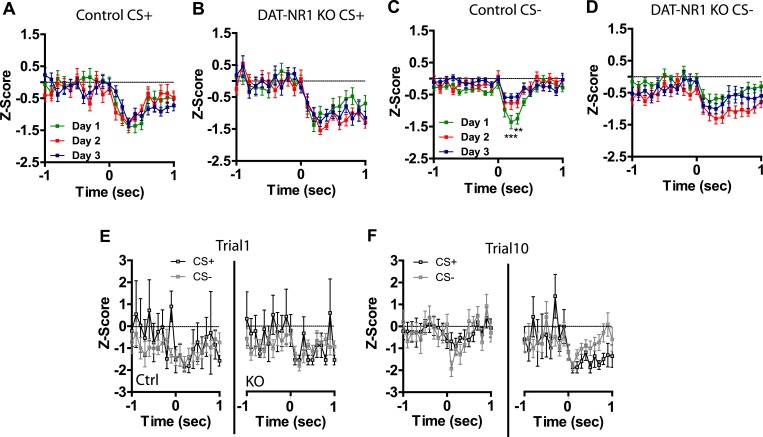 Figure 5—figure supplement 1.