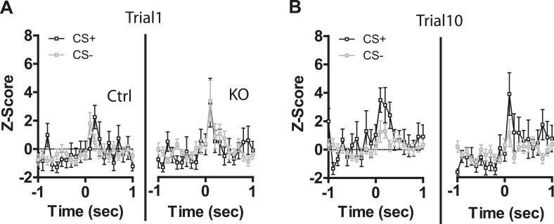 Figure 4—figure supplement 2.