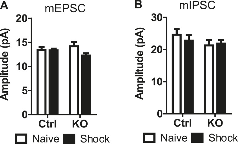 Figure 6—figure supplement 1.