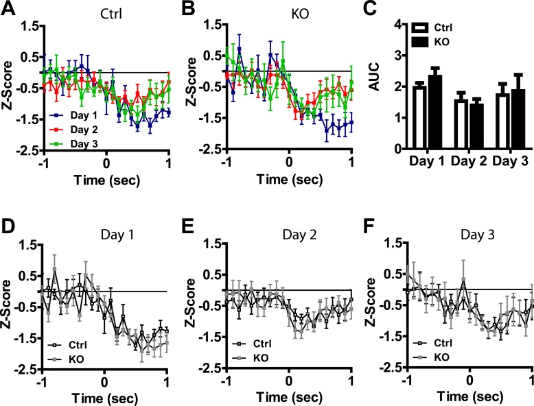 Figure 3—figure supplement 1.