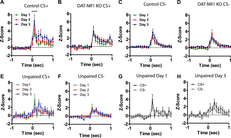 Figure 4—figure supplement 1.