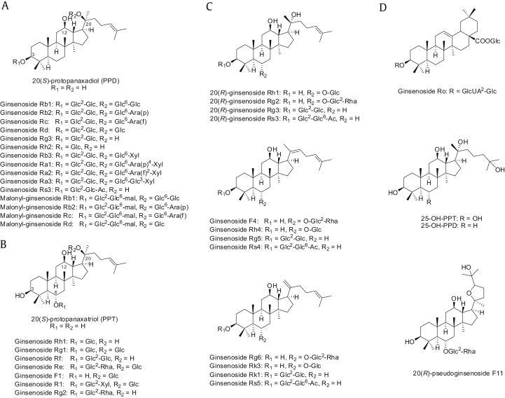 Fig. 1